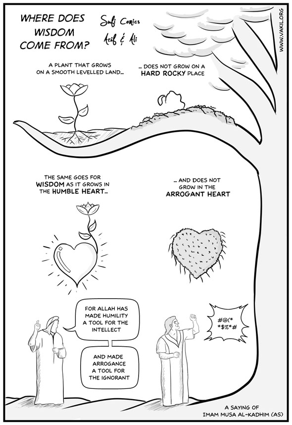 Sufi Comics: Where does Wisdom come from?